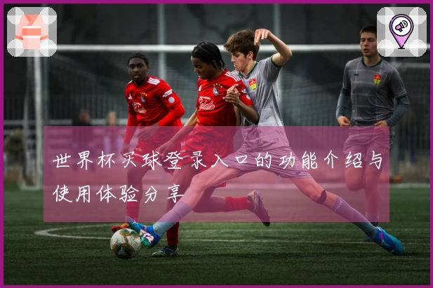 世界杯买球登录入口的功能介绍与使用体验分享