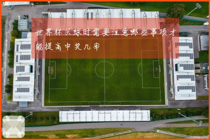 世界杯买球时需要注意哪些事项才能提高中奖几率