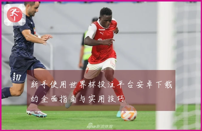 新手使用世界杯投注平台安卓下载的全面指南与实用技巧