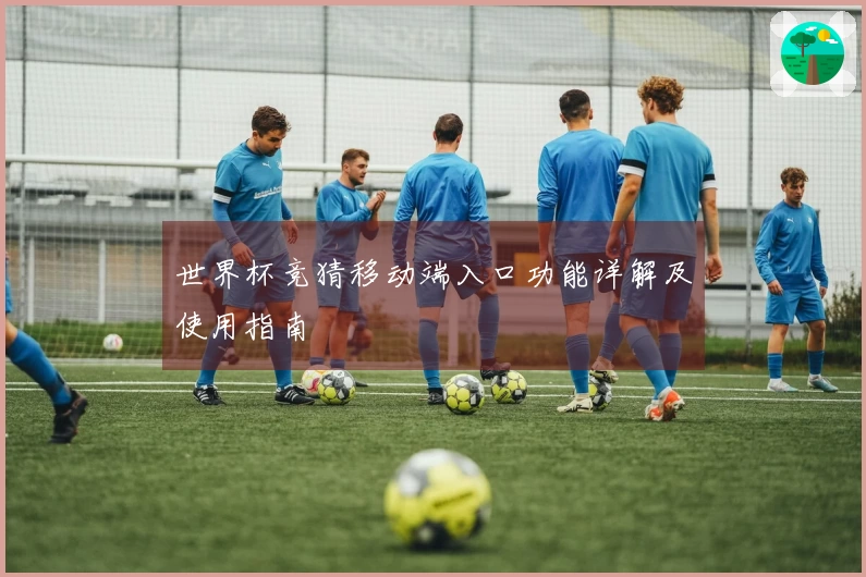 世界杯竞猜移动端入口功能详解及使用指南