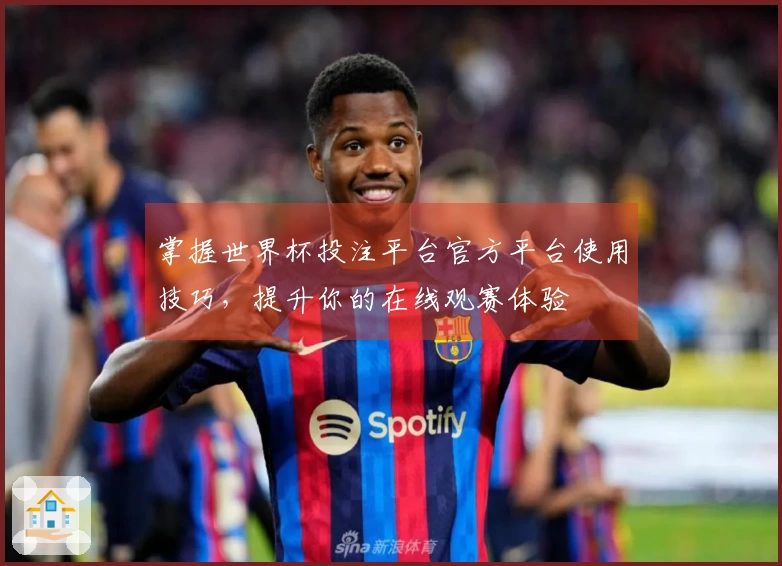 掌握世界杯投注平台官方平台使用技巧，提升你的在线观赛体验