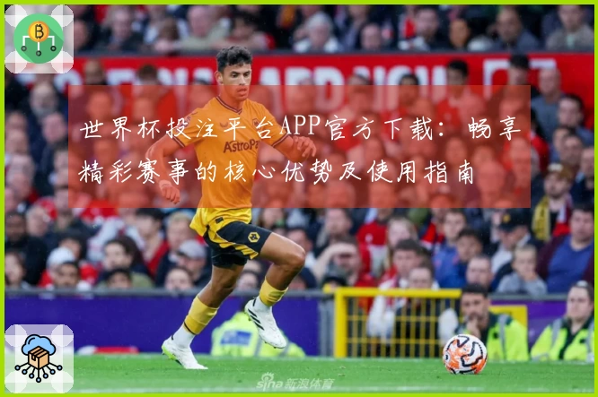世界杯投注平台APP官方下载：畅享精彩赛事的核心优势及使用指南