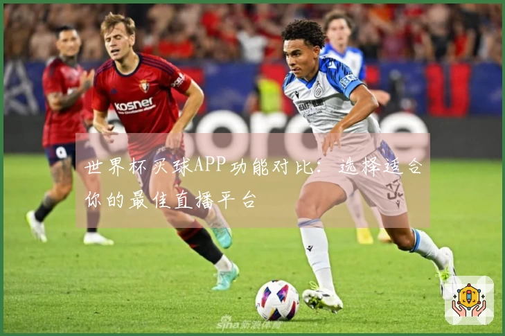 世界杯买球APP功能对比：选择适合你的最佳直播平台